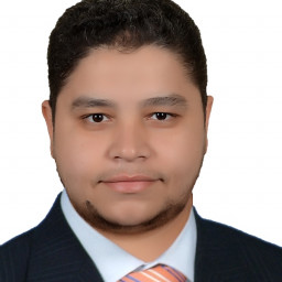 Hisham Hassan